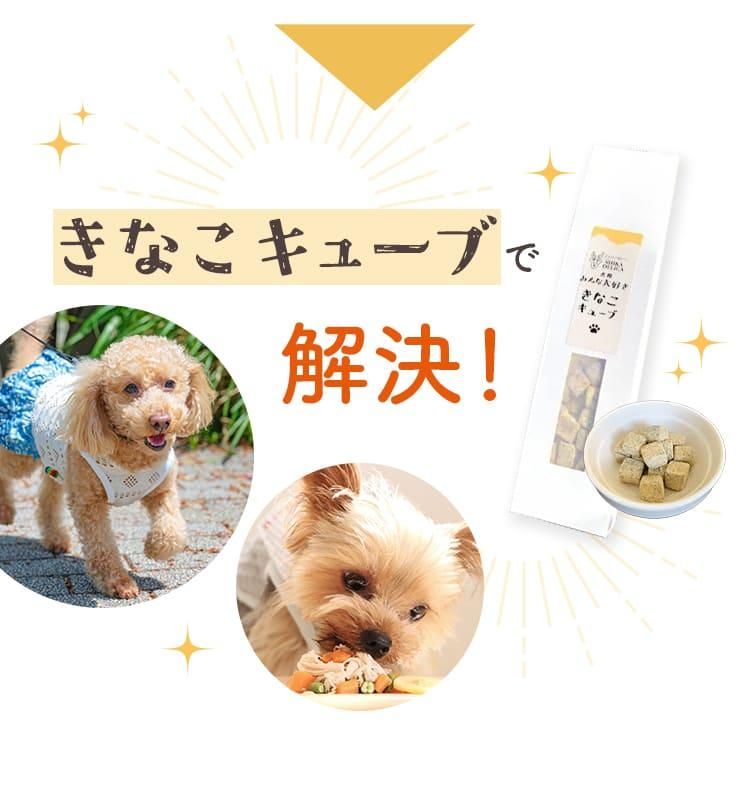 ʤ塼֤ǲ衪