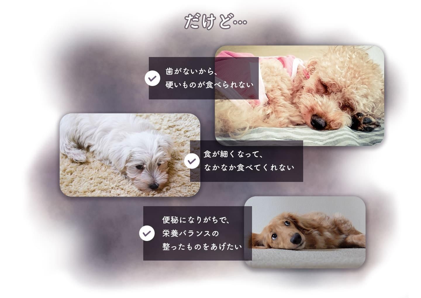 ɡĻʤŤΤ٤ʤ٤ʤäƤʤʤ٤Ƥʤˤʤ꤬
