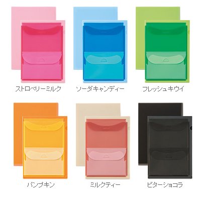 ライオン事務器 ダブルポケットホルダー イロキャリ  通販なら