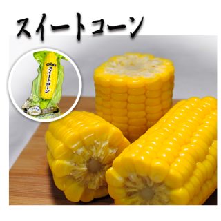 <img class='new_mark_img1' src='https://img.shop-pro.jp/img/new/icons14.gif' style='border:none;display:inline;margin:0px;padding:0px;width:auto;' /> ī⤮ȥ<br/>ʥȥȥѥ