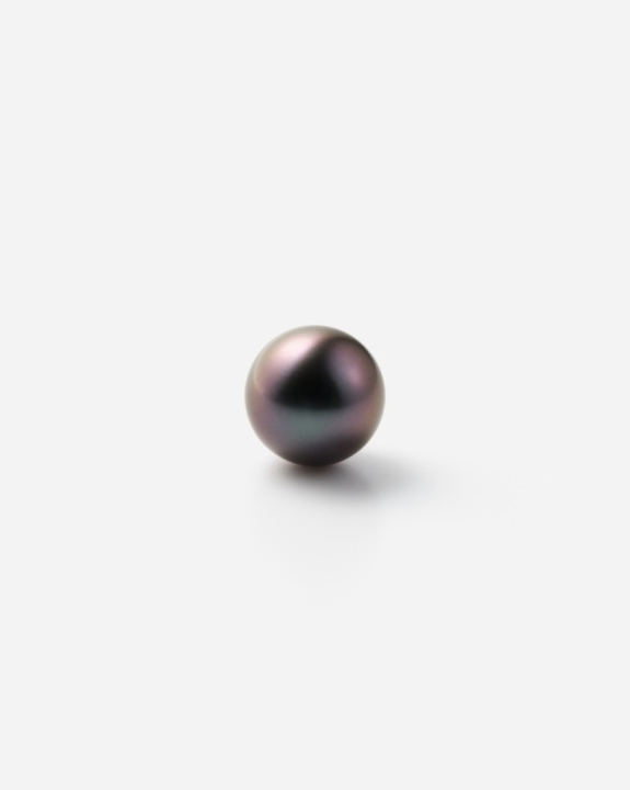 Pinkish Black South Sea Pearl Earring | ピンキッシュ南洋パール ピアス