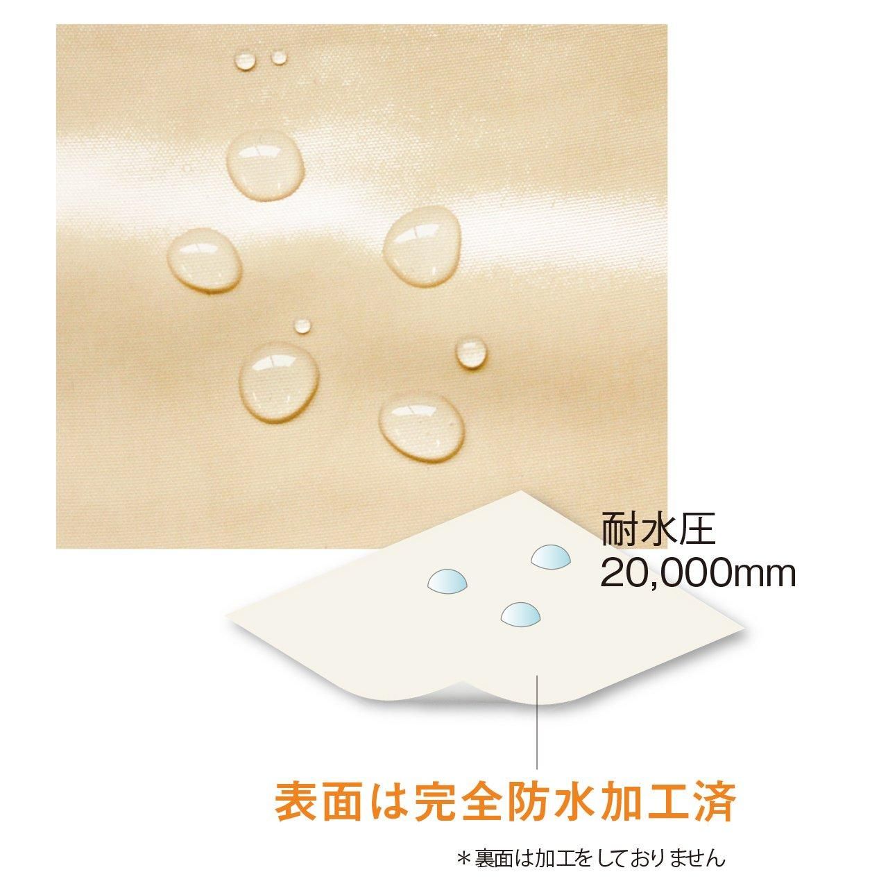 シャンプー Anna 楽天市場】【公式ショップ】エブリ カラーシャンプー (300mL