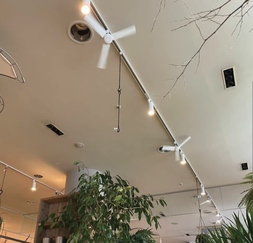 ダクトレールファンDCプラスΦ50 Amazon | DUCT RAIL FAN DC plus 50 (WH×WOOD_NT