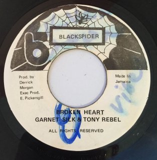 GARNET SILK & TONY REBEL - BROKEN HEART