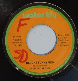 ANTHONY BROWN - REGGAE FUNKYFIED