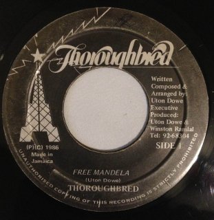 THOROUGHBRED - FREE MANDELA