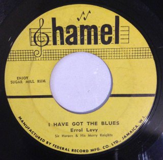 ERROL LEVY - I HAVE GOT THE BLUES