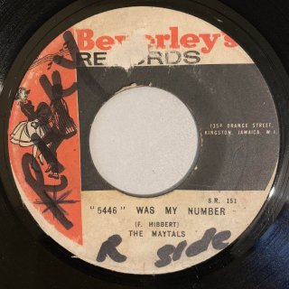 MAYTALS - 5446 WAS MY NUMBER