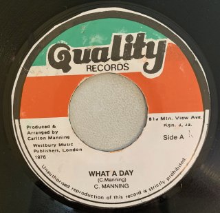 CARLTON MANNING - WHAT A DAY