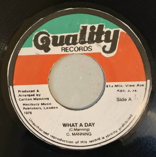 CARLTON MANNING - WHAT A DAY