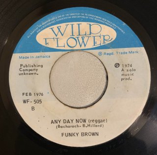 FUNKY BROWN - ANY DAY NOW