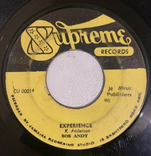 BOB ANDY - EXPERIENCE