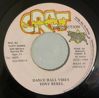 TONY REBEL - DANCE HALL VIBES