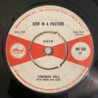 STRANGER COLE AND OWEN - KOO KOO DO (COW IN A PASTURE)
