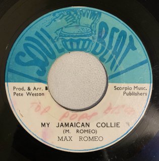 MAX ROMEO - MY JAMAICAN COLLIE