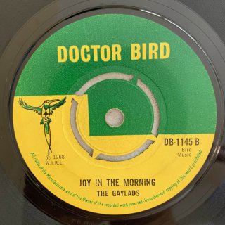 GAYLADS - JOY IN THE MORNING