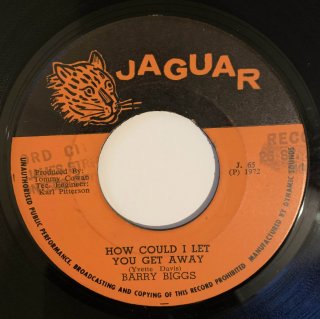 BARRY BIGGS - HOW COULD I LET YOU GET AWAY