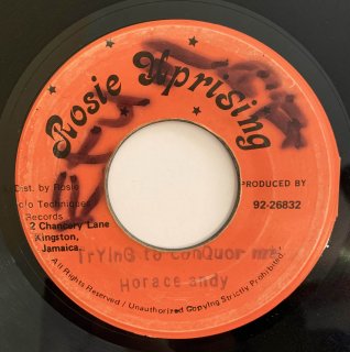 HORACE ANDY - TRYING TO CONQUOR ME