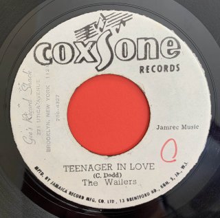 WAILERS - TEENAGER IN LOVE