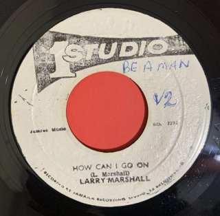 LARRY MARSHALL - HOW CAN I GO ON
