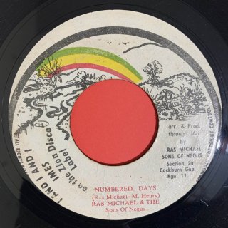 RAS MICHAEL - NUMBERED DAYS
