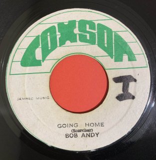 BOB ANDY - GOING HOME