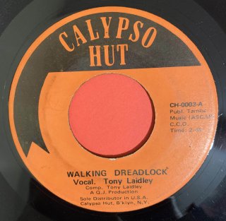 TONY LAIDLEY - WALKING DREADLOCK