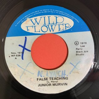 JUNIOR MURVIN - FALSE TEACHING