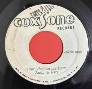 ANDY & JOEY - YOU'RE WONDERING NOW (discogs)