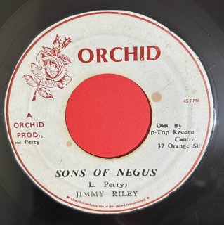 JIMMY RILEY - SONS OF NEGUS