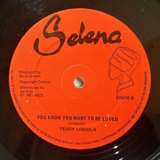 TEDDY LINCOLN - YOU KNOW YOU WANT TO BE LOVED