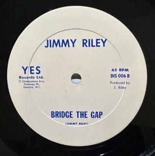 JIMMY RILEY - BRIDGE THE GAP