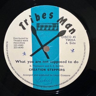 CREATION STEPPERS - WHAT YOU ARE NOT SUPPOSED TO DO