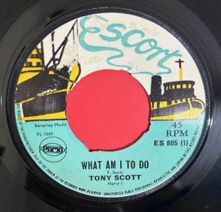 TONY SCOTT - WHAT AM I TO DO (discogs)