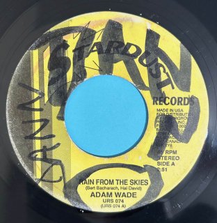 ADAM WADE - RAIN FROM THE SKIES