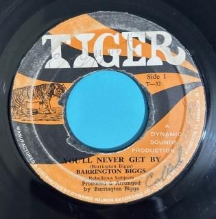 BARRINGTON BIGGS - YOULL NEVER GET BY