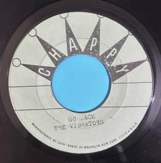 THE VIBRATORS - GO BACK