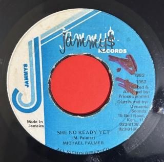 MICHAEL PALMER - SHE NO READY YET