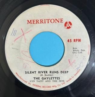 GAYLETTES - SILENT RIVER RUNS DEEP