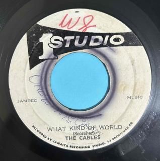CABLES - WHAT KIND OF WORLD