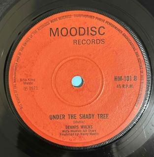 DENNIS WALKS - UNDER THE SHADY TREE