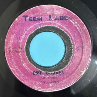 JAH LLOYD - DRY BOONES