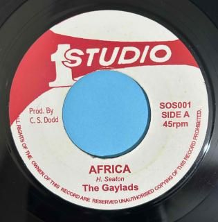 GAYLADS - AFRICA