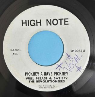 WELL PLEASE & SATISFY - PICKNEY A HAVE PICKNEY