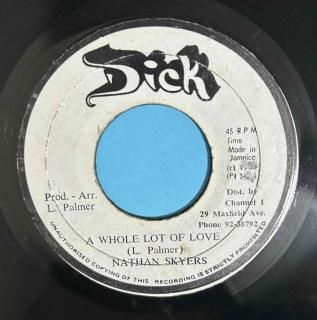 NATHAN SKYERS - A WHOLE LOT OF LOVE