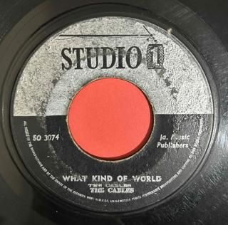 CABLES - WHAT KIND OF WORLD