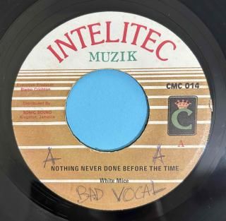 WHITE MICE - NOTHING NEVER DONE BEFORE THE TIME