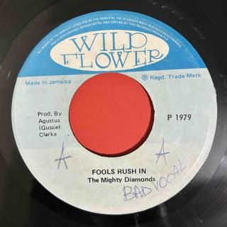 MIGHTY DIAMONDS - FOOLS RUSH IN