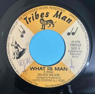 DELROY WILSON - WHAT IS MAN