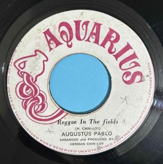 AUGUSTUS PABLO - REGGAE IN THE FIELDS